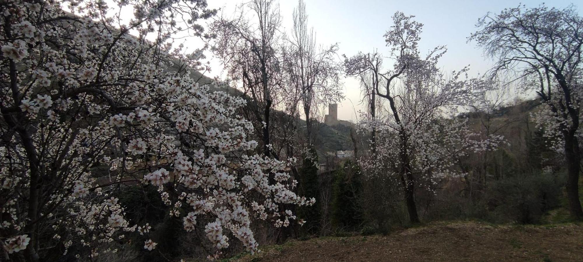 Alojamientos Puerta Del Parque كازورلا الغرفة الصورة